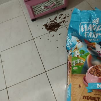 Kedi Maması Ambalajı Yırtık Ve Dağınık Gönderildi: Yeniden Gönderim Veya İade Talebi
