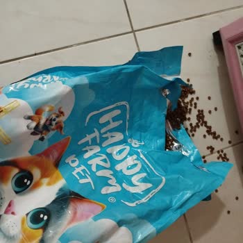 Kedi Maması Ambalajı Yırtık Ve Dağınık Gönderildi: Yeniden Gönderim Veya İade Talebi
