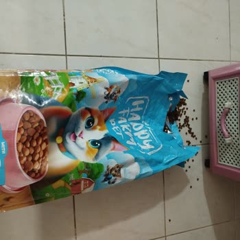 Kedi Maması Ambalajı Yırtık Ve Dağınık Gönderildi: Yeniden Gönderim Veya İade Talebi