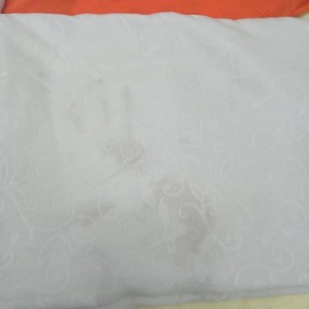 Bosch Çamaşır Makinesinde Tekrarlayan Yağ Sızıntısı Kıyafetlerimi Mahvetti, Ürün Değişimi İstiyorum