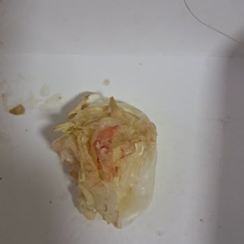 Arby's Şubesinde Marul Sapı Kullanımı Ve Cevapsız Müşteri Hizmeti