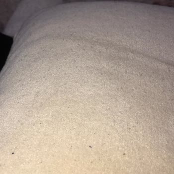 İnegöl Mobilya (Karabağlar) Oturduğum Bölgelerde, Kırlentlerde Başlıklarda Yoğun Tiftiklenme Oluştu