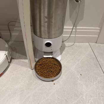 Xenon Akıllı Mama Kabı Ve Su Pınarı Arızalı, Satış Sonrası Destek Yok