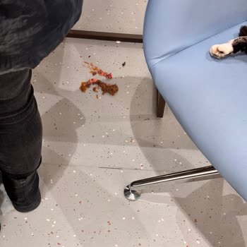 Atasun Optik Karşıyaka Şubesinde Kediler Nedeniyle Hijyen Sorunları