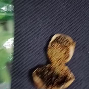 Tariş Naturel Kuru İncir Bozuk Ve Küflü