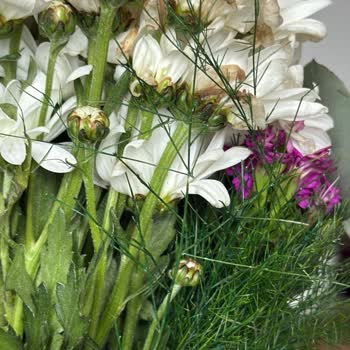 İki Kez Üst Üste Bayat Çiçek Gönderimi Güvenimizi Sarsıyor