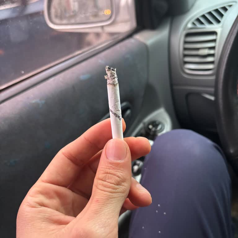 Parliament Etiketi Ve Sap Sorunu Tütünü Islak Ve Tadı Kayıp