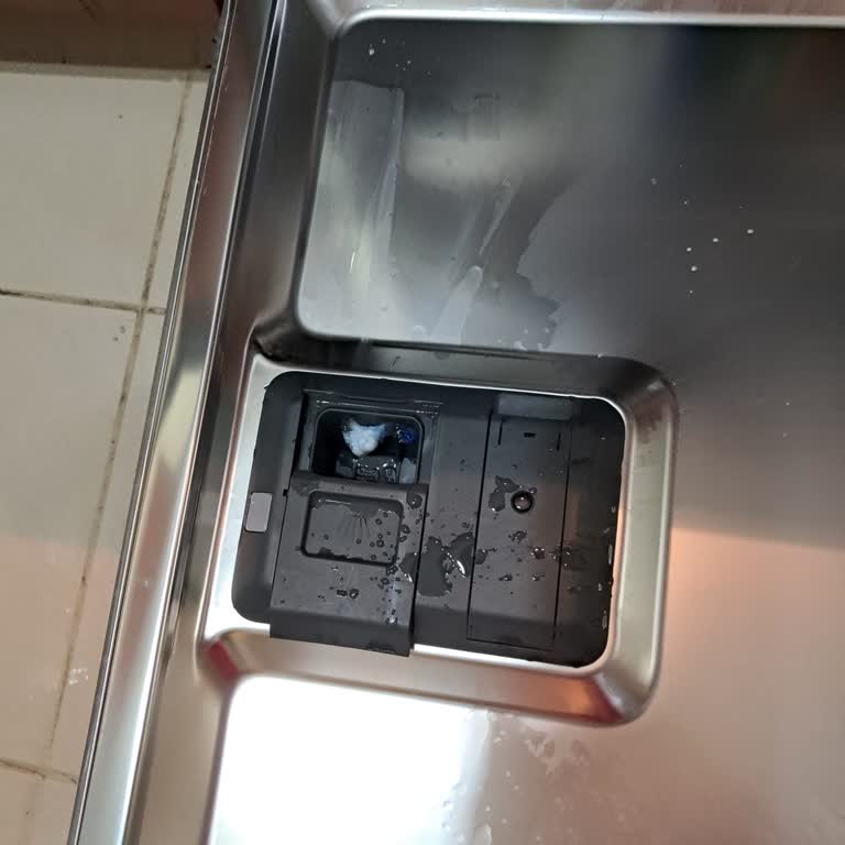 Electrolux Bulaşık Makinesinde Kurutma Sorunu Ve Çözüm Bulamayan Servis