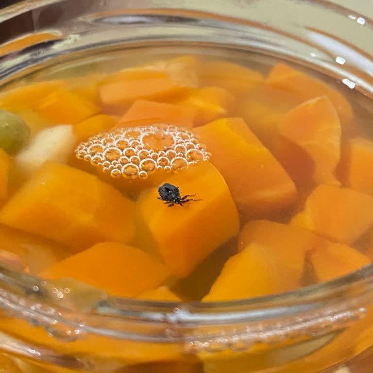 A101'de Garnitürde Böcek Görülmesi Güven Sarsıntısı