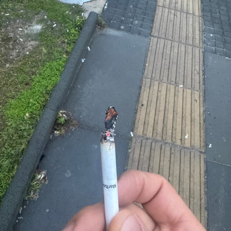 Her Pakette Sürekli Düşük Kaliteli Tütün Şikayeti