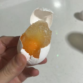 Samsung Buzdolabındaki Aşırı Soğutma Sorunu Çözülmedi, Ücretsiz Değişim Talebi