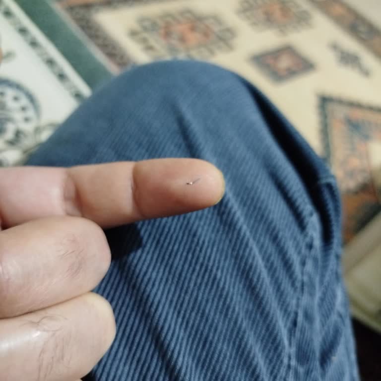 Süsse Bisküvi Bulaşık Teli Gibi Görünen Metal Bir Parça Çıktı