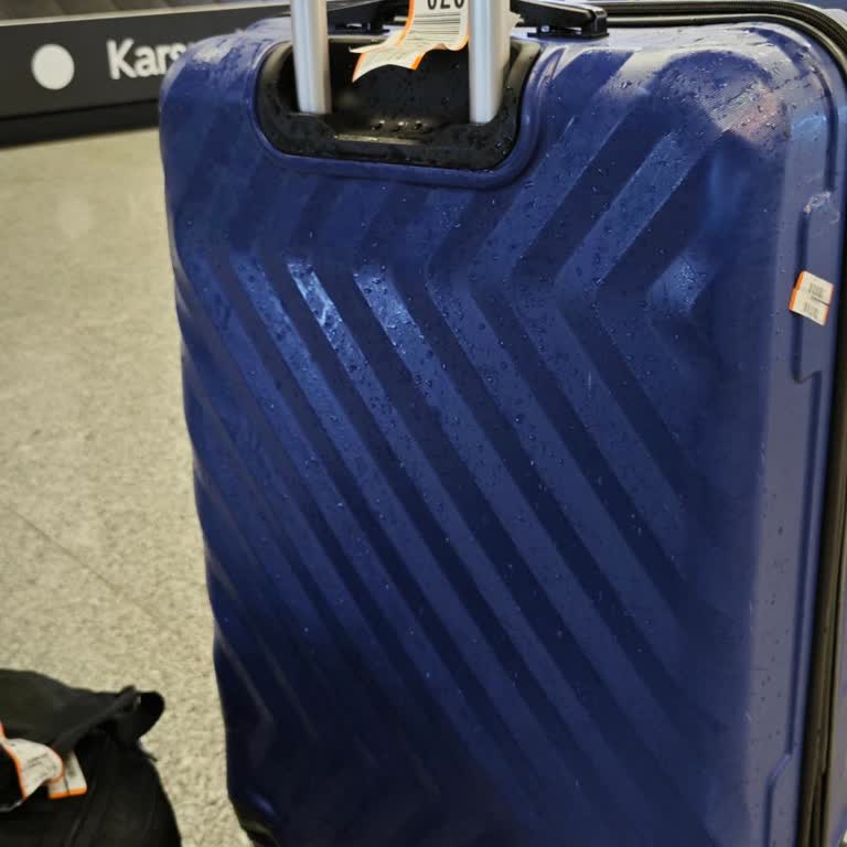 Uçuş Gecikmesi Sonrası Bagajlarım Islanıp Lekelenmiş Ve Kötü Koku Yaydı