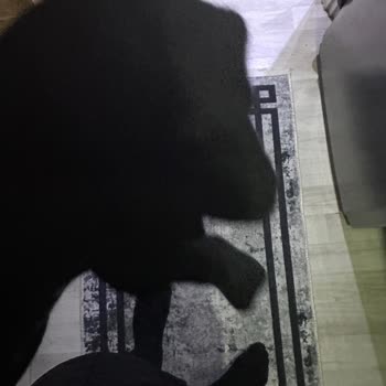 Jack Jones Çoraplarında Kalite Sorunu Ve Telafi Talebi