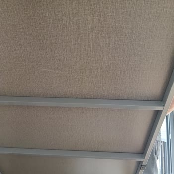 Canto & Silver Baza Değişimi İçin 82 Günlük Gecikme Ve Cevapsızlık