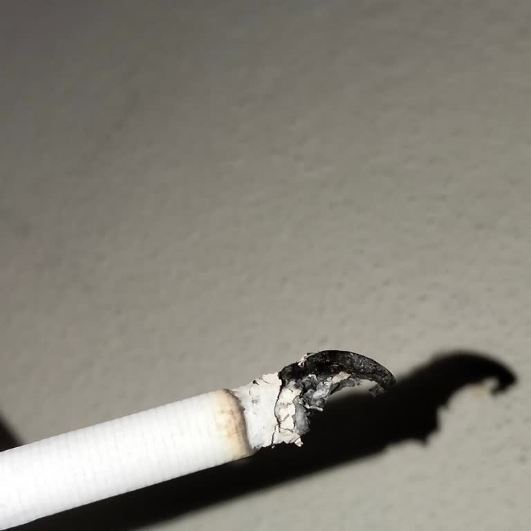 Parliament Night Blue Sigaranın İçinden Böcek Benzeri Şey Çıktı