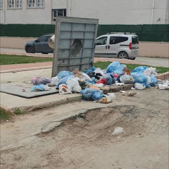 Adana Seyhan 50204 Sokakta Çöp Arabası Es Geçiyor, Temizlik Yok