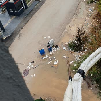 Adana Seyhan 50204 Sokakta Çöp Arabası Es Geçiyor, Temizlik Yok