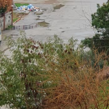 Adana Seyhan 50204 Sokakta Çöp Arabası Es Geçiyor, Temizlik Yok