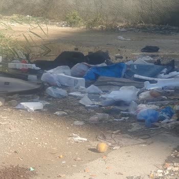 Adana Seyhan 50204 Sokakta Sürekli Çöp Birikimi Ve Belediye İhmali