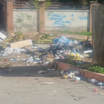 Adana Seyhan 50204 Sokakta Sürekli Çöp Birikimi Ve Belediye İhmali