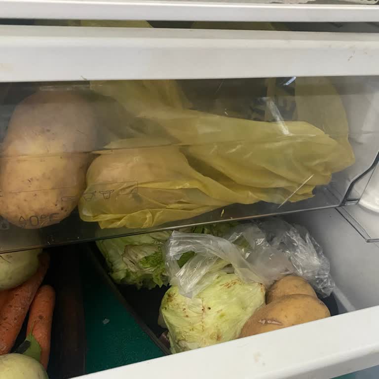 Profilo Buzdolabı Cam Rafı Yedek Parça Gecikmesi Ve Üst Raf Çatlaması