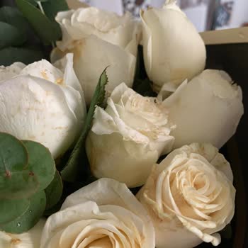 Teslim Edilen Çiçek Solmuş Ve Çürük Olması Nedeniyle Ücretsiz Değişim Talebi