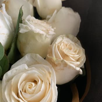 Teslim Edilen Çiçek Solmuş Ve Çürük Olması Nedeniyle Ücretsiz Değişim Talebi