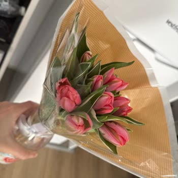 Solmuş Çiçek Teslimatı Ve Yetersiz Müşteri Desteği