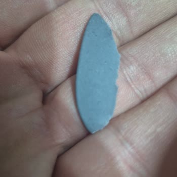 Kısa Sürede Körük Hasarı: Samsung Garanti Kapsamını Reddetti