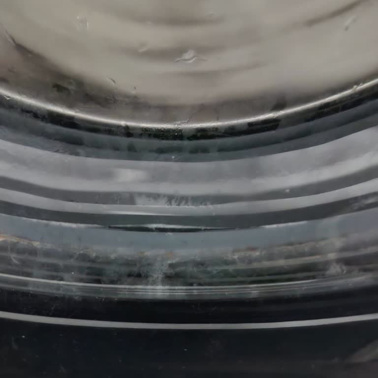 Kısa Sürede Körük Hasarı: Samsung Garanti Kapsamını Reddetti