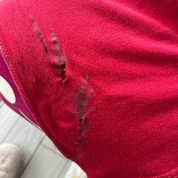 Bosch Çamaşır Makinesi Çamaşırlarımızı Parçalıyor Ve Servis Sorunu Çözmüyor