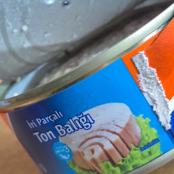 Kapağın İçinde Böcek Bulunan Ton Balığı Üzerinde Sağlık Riski Ve Hijyen İhlali