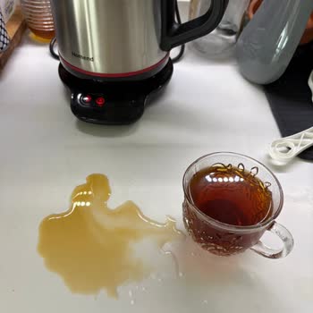 Homend Royaltea 1708H Modelinde Sürekli Akıtma Ve Servis Kayıt Açma Sorunu