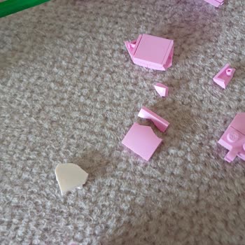 Parçaları Kendi Kendine Çatlayan Lego Lotus Flowers Seti İçin Değişim Talebi