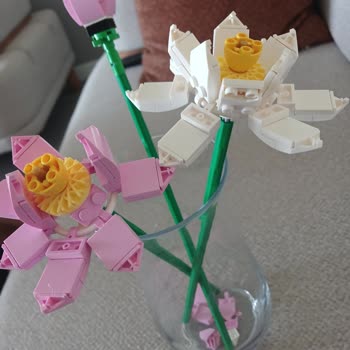 Parçaları Kendi Kendine Çatlayan Lego Lotus Flowers Seti İçin Değişim Talebi