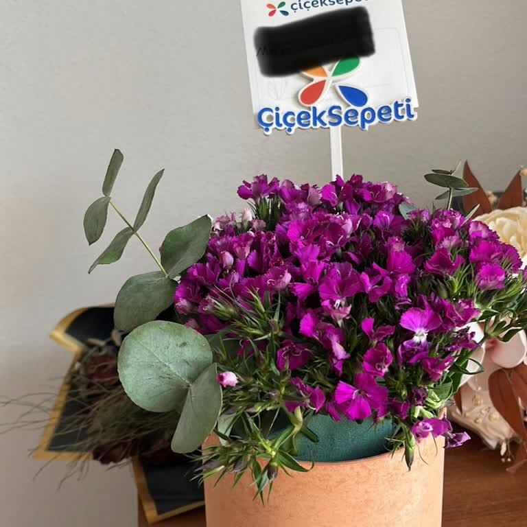 Sevgililer Günü Çiçek Siparişinde Görsel Uyuşmazlığı Ve Kalite Eksikliği