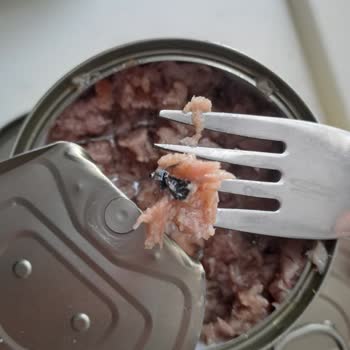 Siyah İçerikli Ton Balığı Ve Belirsiz Son Kullanma Tarihleri