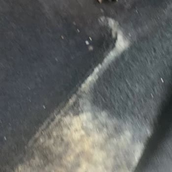 BMW 1.16i Kapı İç Döşemesinden Kaynaklanan Su Sızıntısı Şikayeti