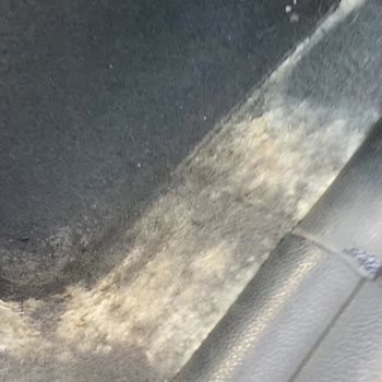 BMW 1.16i Kapı İç Döşemesinden Kaynaklanan Su Sızıntısı Şikayeti