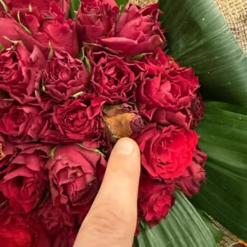 Hızlı Çiçek | Hizlicicek.com Sipariş Görseldekinden Tamamen Farklı Ve Son Derece Özensiz Gönderildi