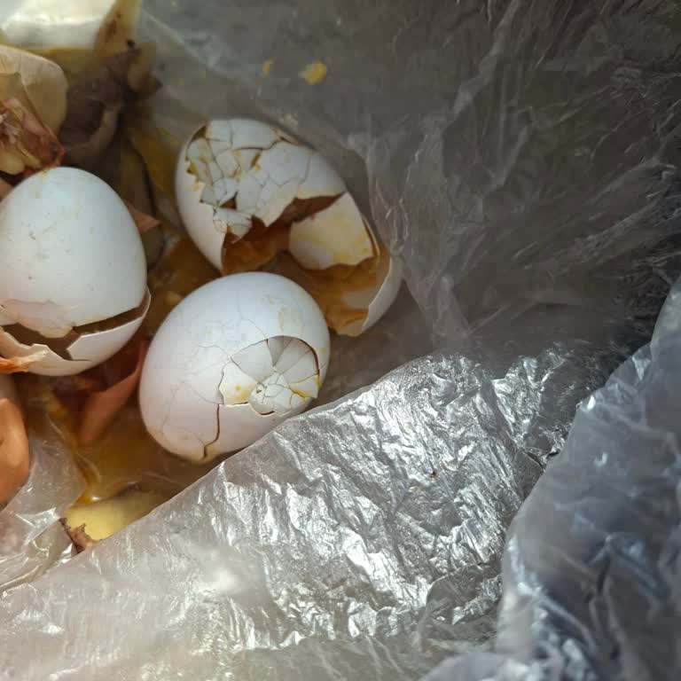 Şok Markette Tarihi Geçmiş Ve Bozuk Yumurtalar Satılıyor