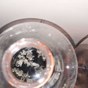 Küflenmiş Didi Şeftalili Soğuk Çay Şişelerinde Sağlık Riski Ve Ücret İadesi Talebi