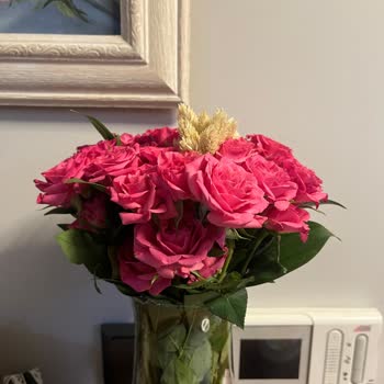 İstanbul Çiçekleri'nden Gelen Çiçeklerin Kalitesizliği Ve Geri Dönüşsüz İletişim: İade Talebi