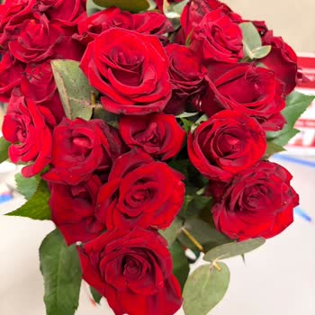 Çiçek Sepeti'nde Kırık Güller Ve Cevapsız Değişim Talebi