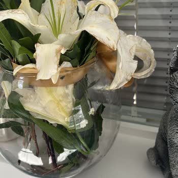 Sevgililer Günü Çiçek Siparişinde Görsel Ve Tazelik Uyumsuzluğu