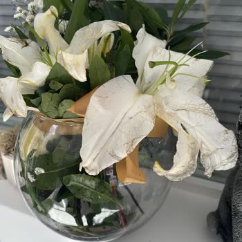 Sevgililer Günü Çiçek Siparişinde Görsel Ve Tazelik Uyumsuzluğu