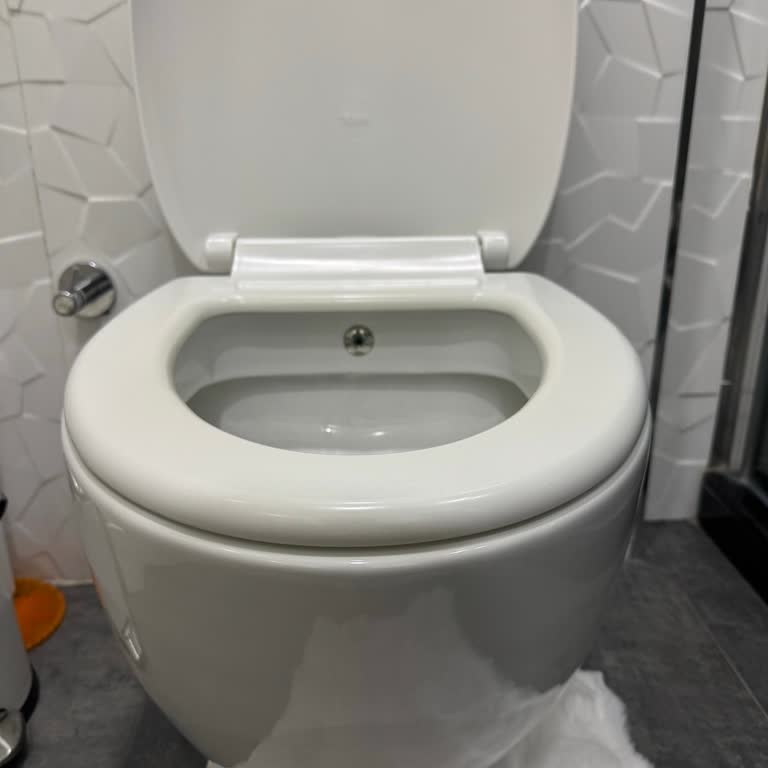 Kale Zen Serisi Klozet Kapakları Tedarik Edilemiyor