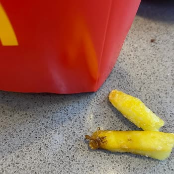 McDonald's Şubesinde Patates Kızartmasında Böcek Görüldü, Hijyen Güveni Sarsıldı