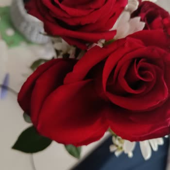 Kalitesiz Çiçekler, Cevapsız Müşteri Hizmeti